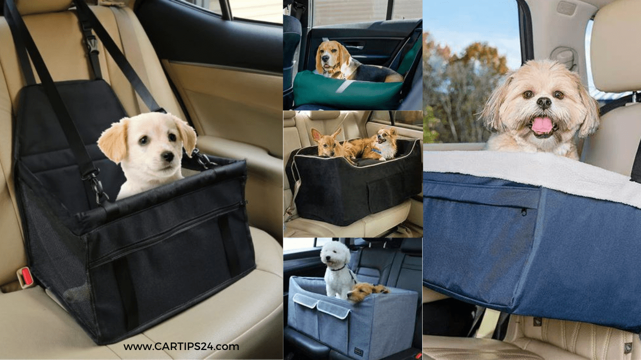DOG CAR SEATS