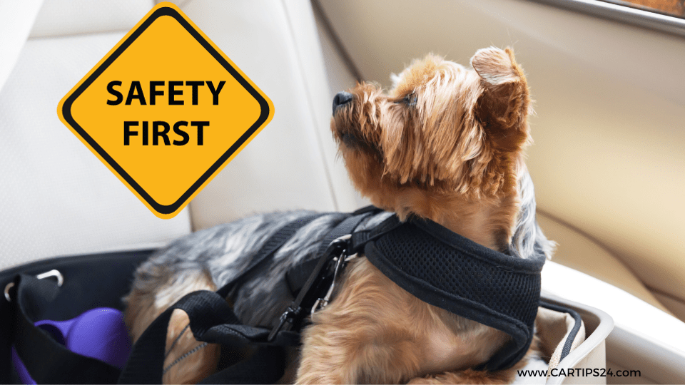 Dog Car Seats safety